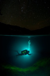 Night dive scene
